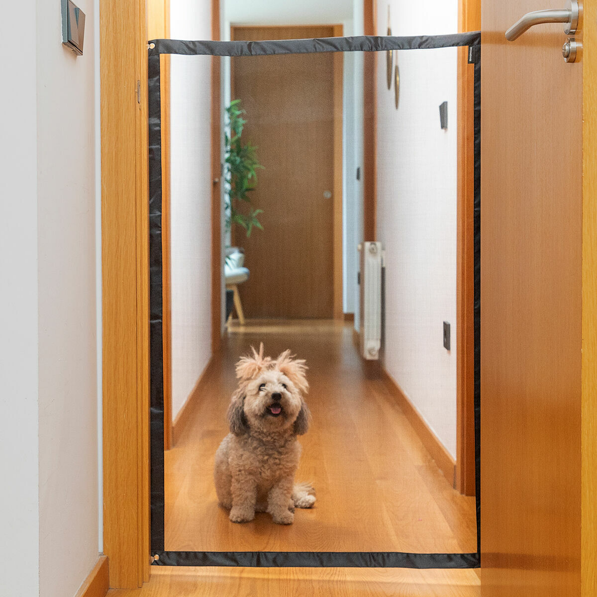 Safety Net for animali Petinu InnovaGoods