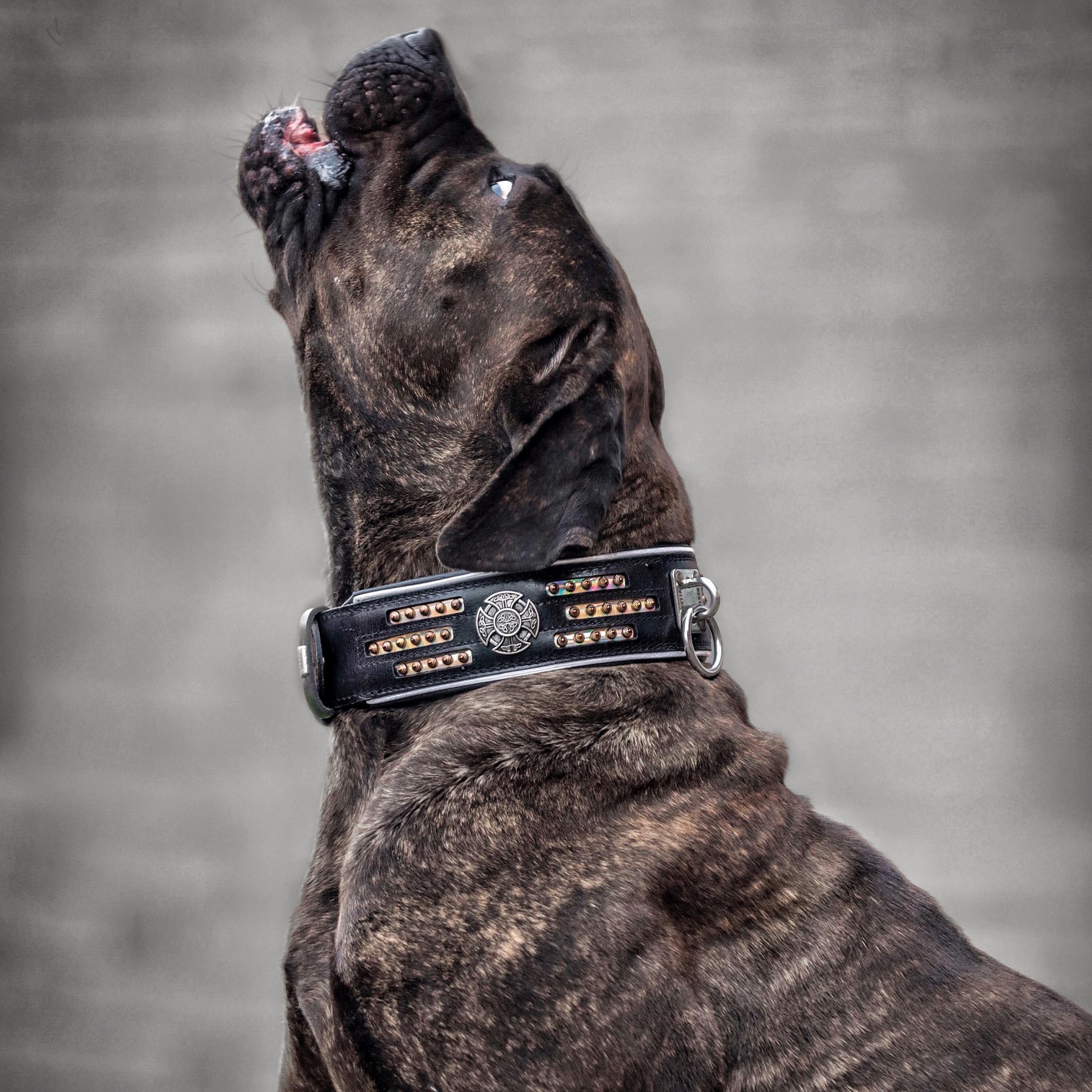 Atlantis Collar para perros y gatos - imagen 3