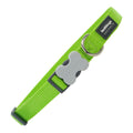 Collare per cane rosso Dingo Lime (1,5 x 24-36 cm)