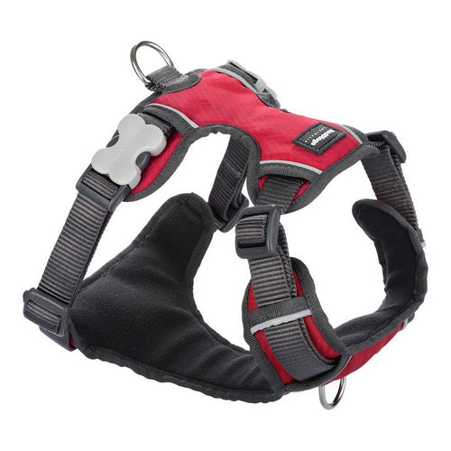 Arnes pour chien rouge Dingo Padded rouge S
