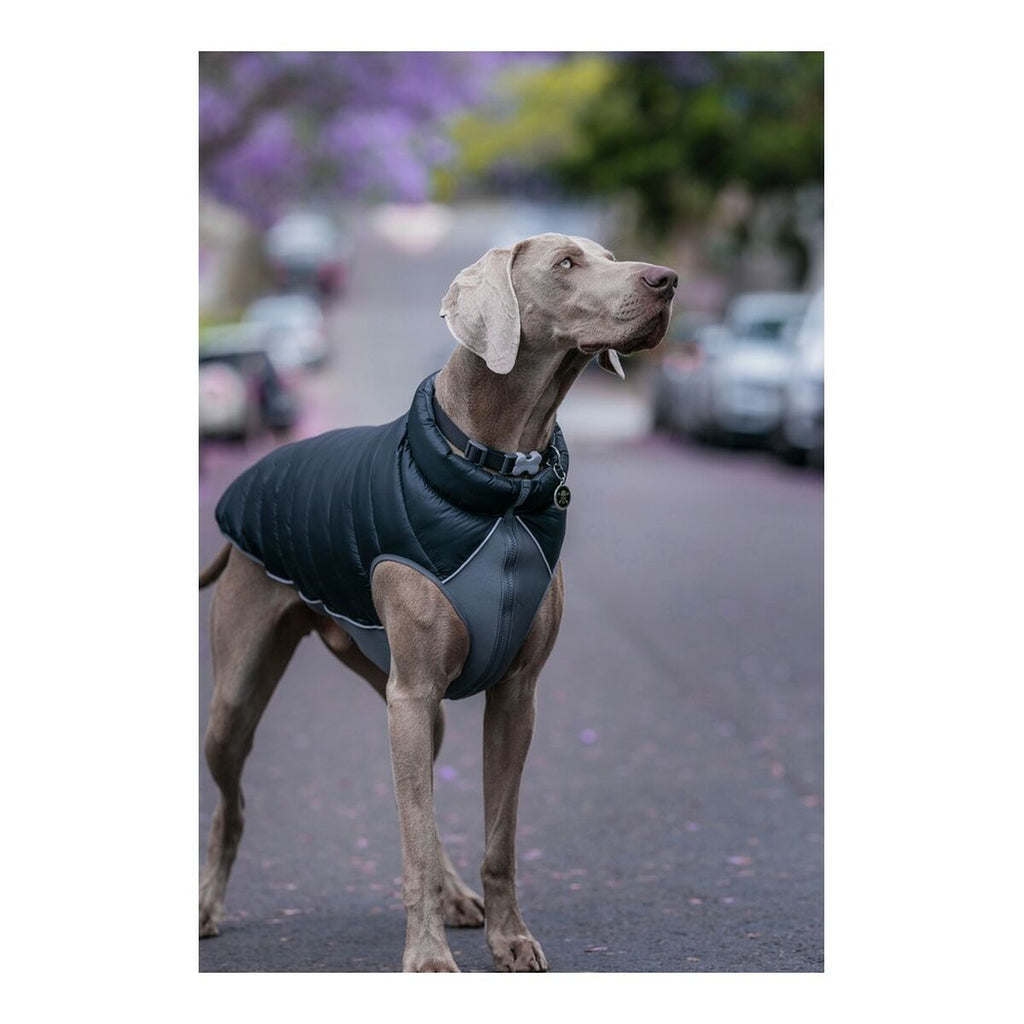 Cappotto per cane rosso Dingo Puffer nero/grigio 25 cm