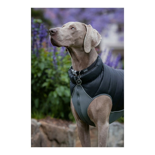 Cappotto per cane rosso Dingo Puffer nero/grigio 25 cm