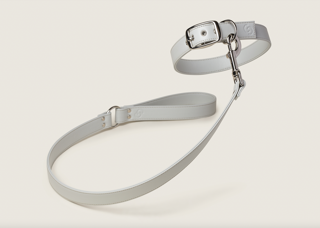 Ice Blue Skylos Set para perros - imagen 4
