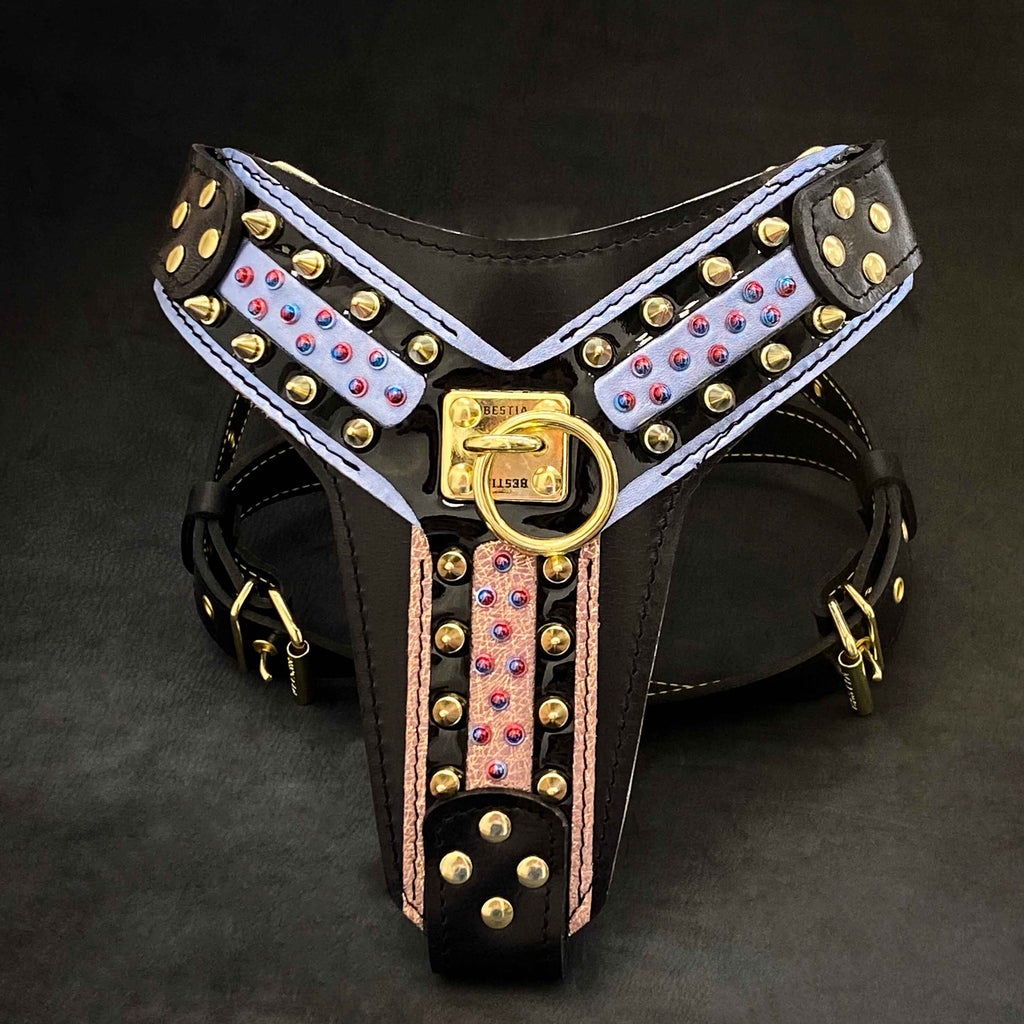 Candy negro harness