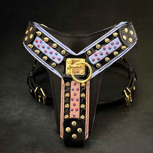Arnés Candy negro para perros