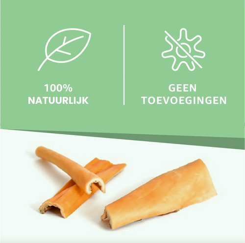 Piel aus búfalo für Hunde