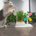 Cat Windmill Interactive Toy with Grass Box for cats - image 1