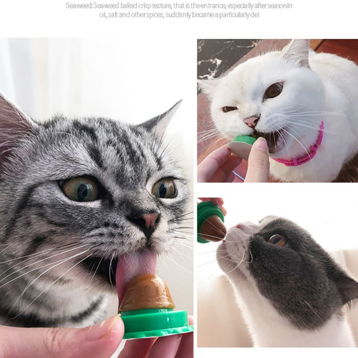 Juguete pelota con catnip para gatos