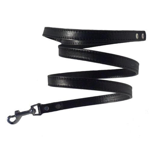 Classic Dog Leads - Medium-0
