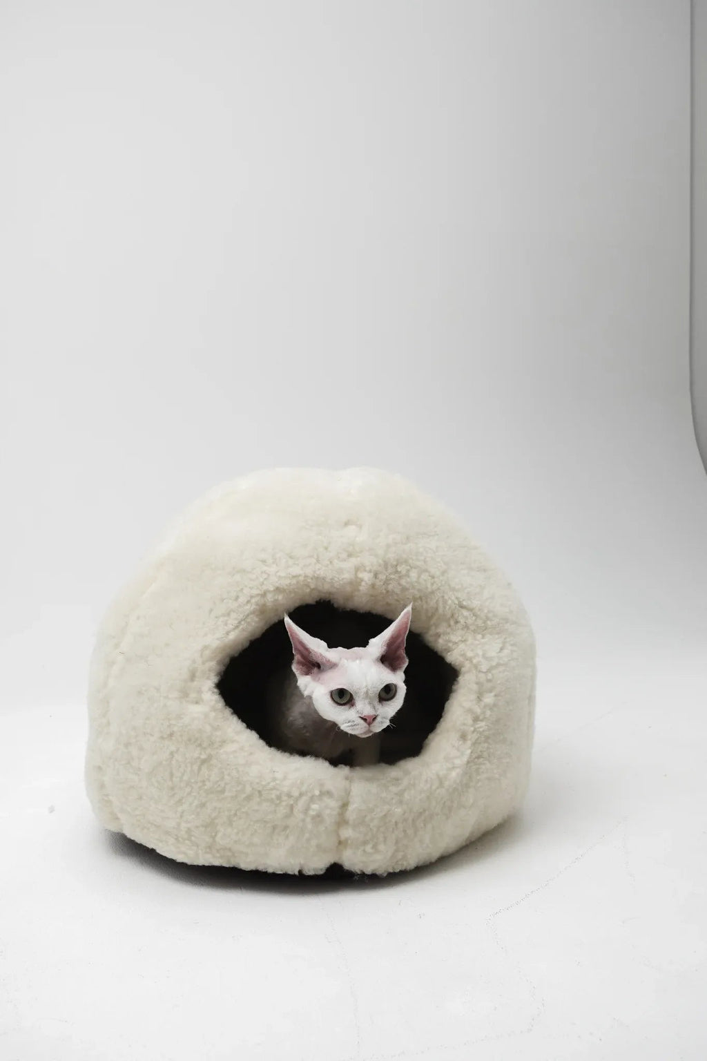 Nest natural lana Cuccia per animali - bianco