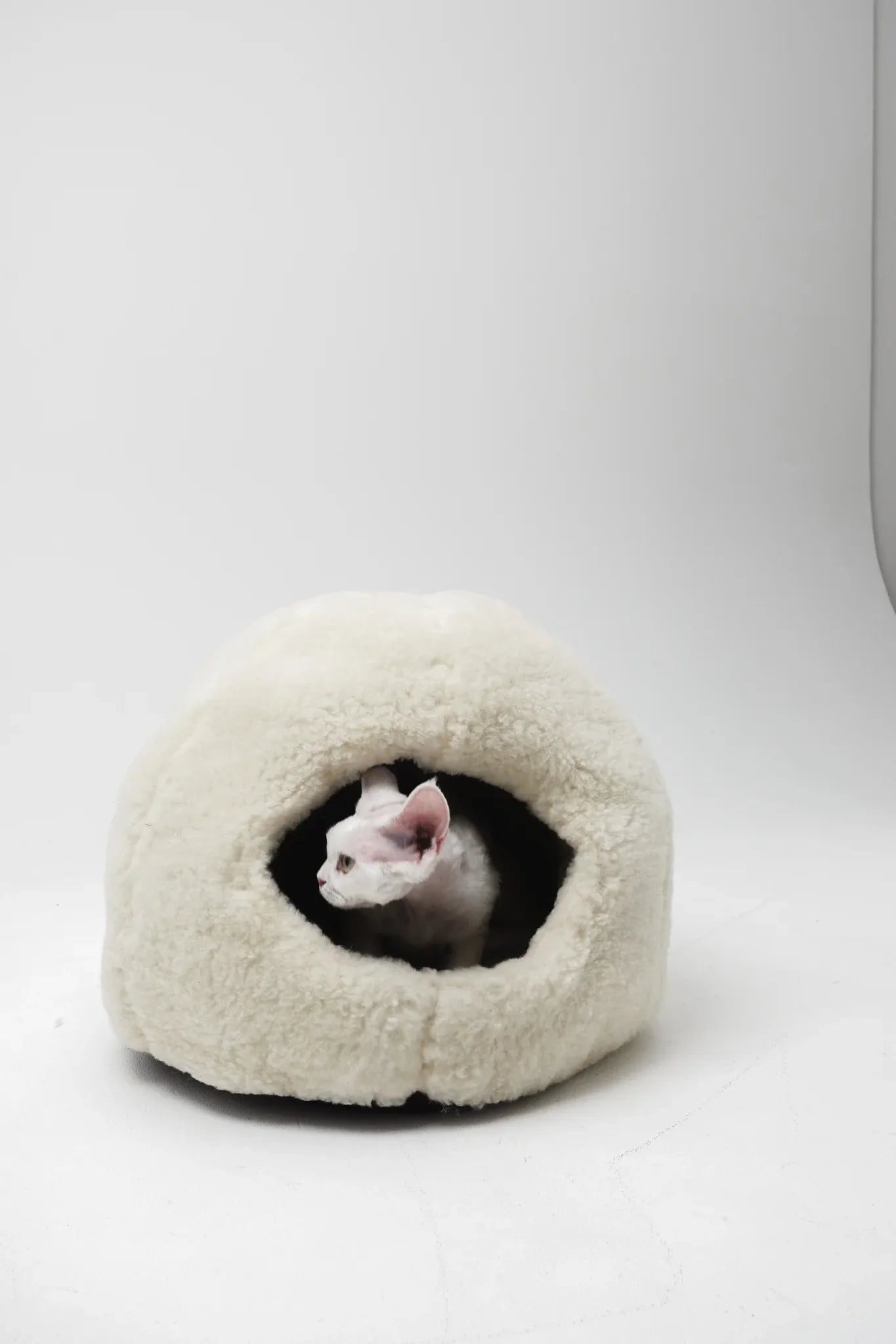 Nest natural lana Cuccia per animali - bianco