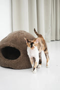 Haustierbett weich de metal fuer Hunde und Katzen - Bild 1