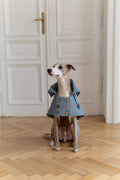 Gabardina impermeabile per cane - Light blu