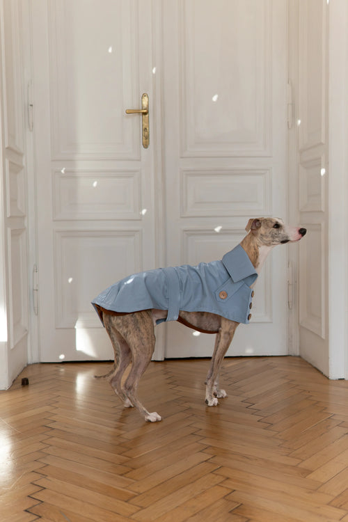 Abrigo impermeable para perro - azul claro