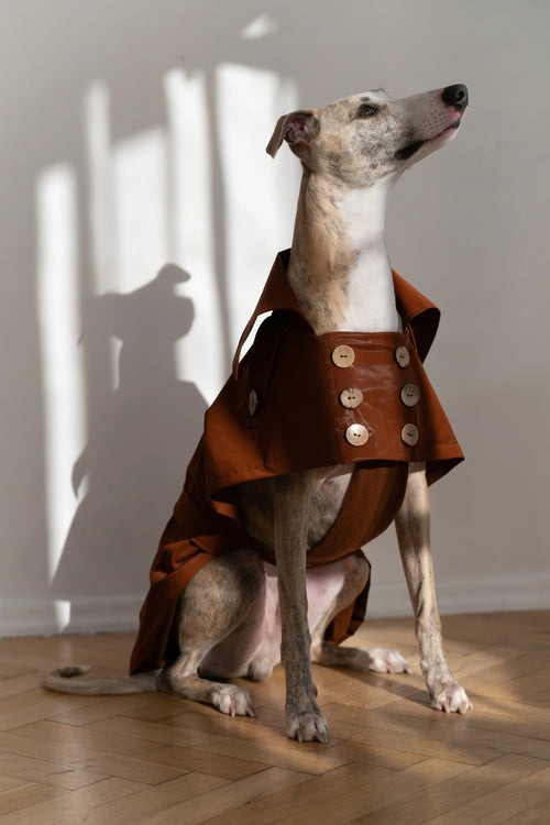 Abrigo impermeable para perro - marrón chocolate