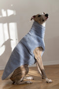 Lana cane Vest - blu