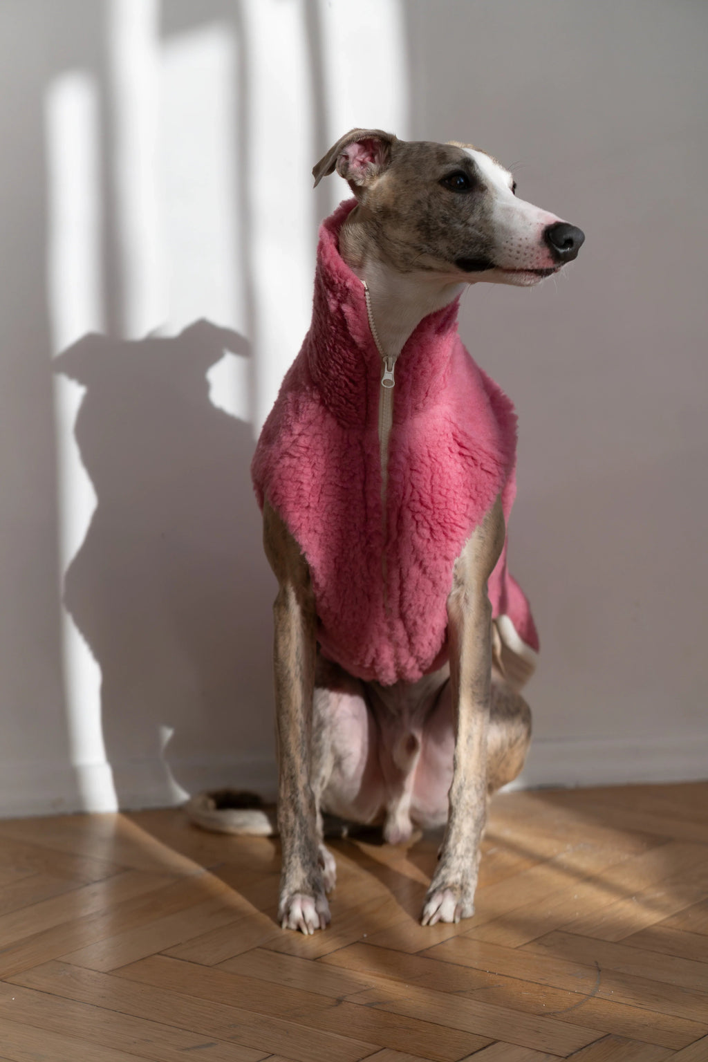 Lana cane Vest - rosa