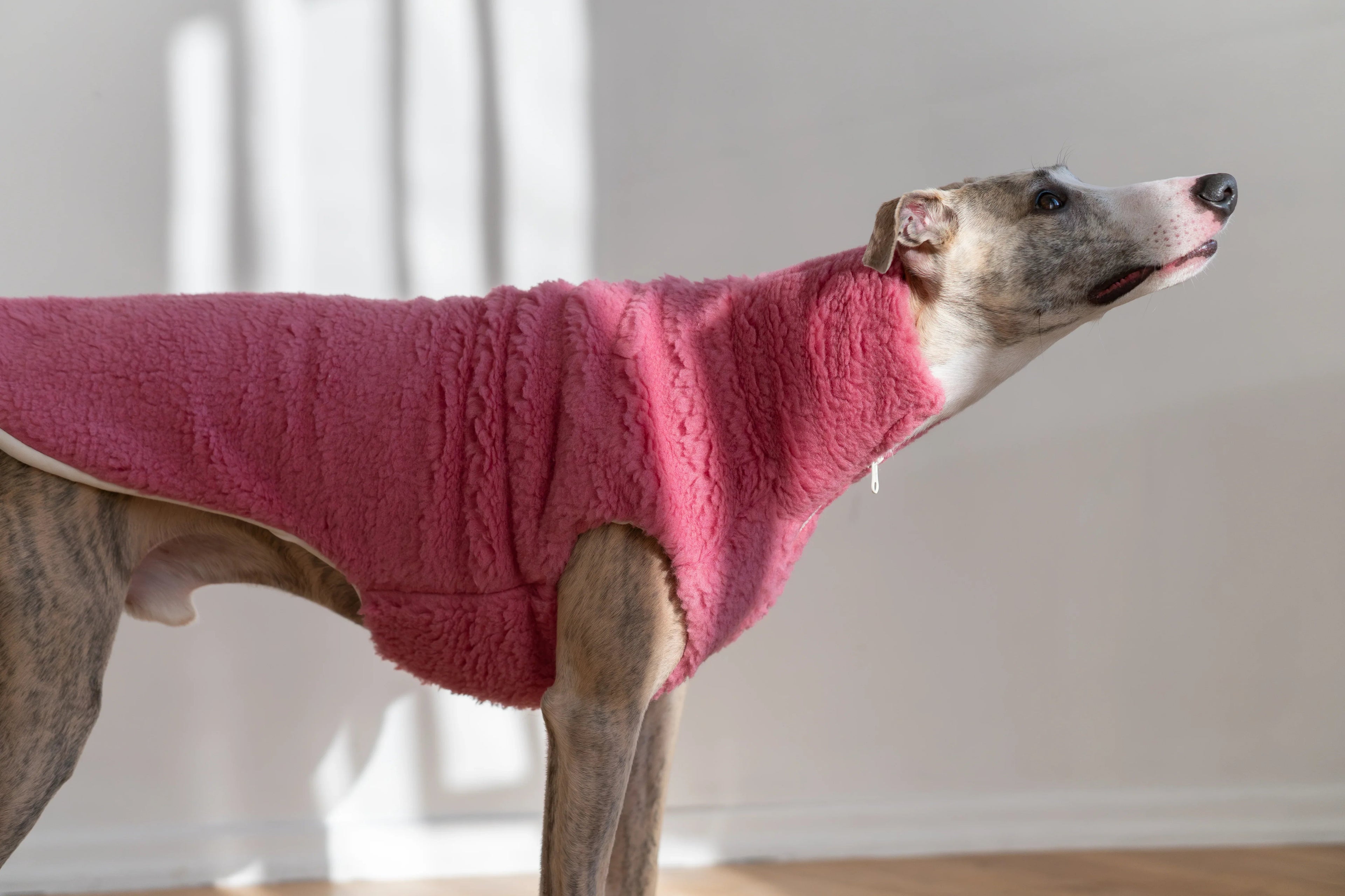 Lana cane Vest - rosa