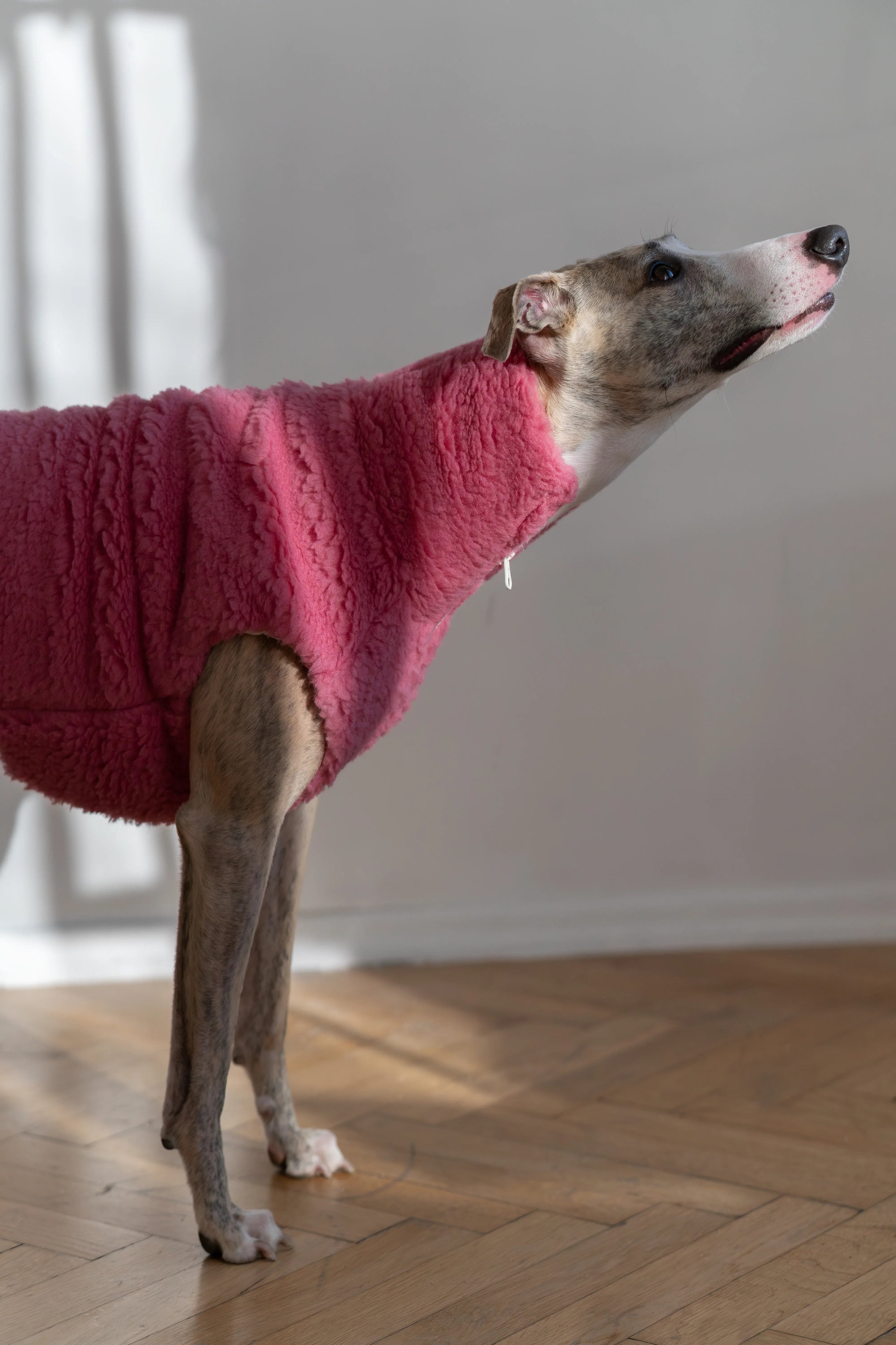 Lana cane Vest - rosa