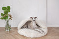 Haustierbett weich de metal blanco fuer Hunde und Katzen - Bild 1