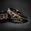 Collar Leopard para cachorros