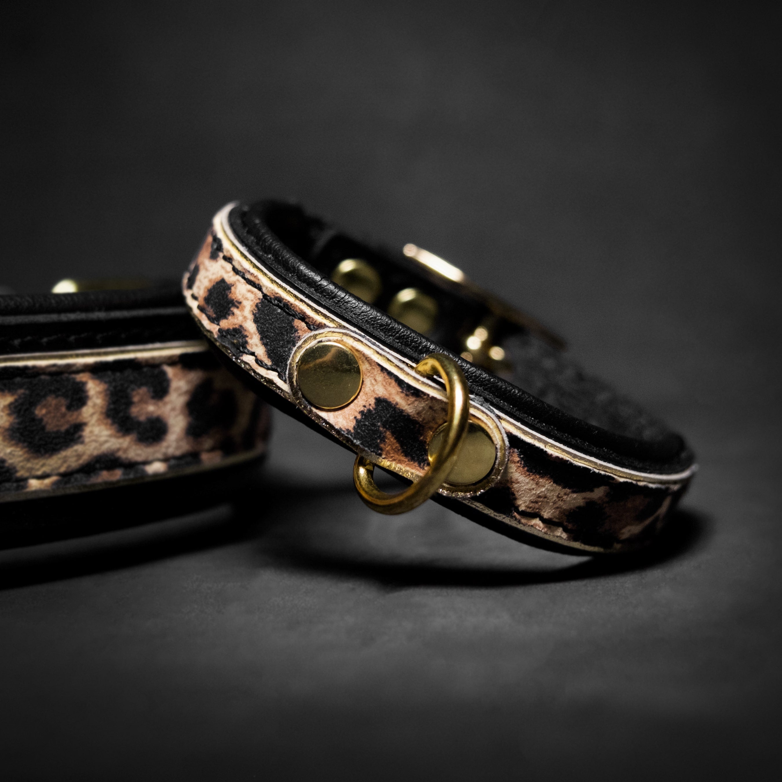 Collar Leopard para cachorros