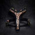 The Leopard Harness Small to Medium Size for dogs and cats - image 1