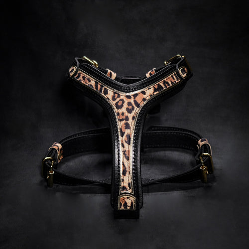 Arnés Leopard para perros pequeños y medianos, Talla S