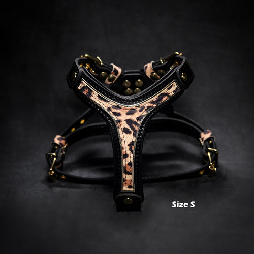Arnés Leopard para perros pequeños y medianos, Talla M, vista 2