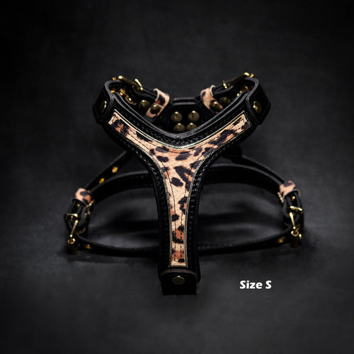 Arnés Leopard para perros pequeños y medianos, Talla M, vista 2