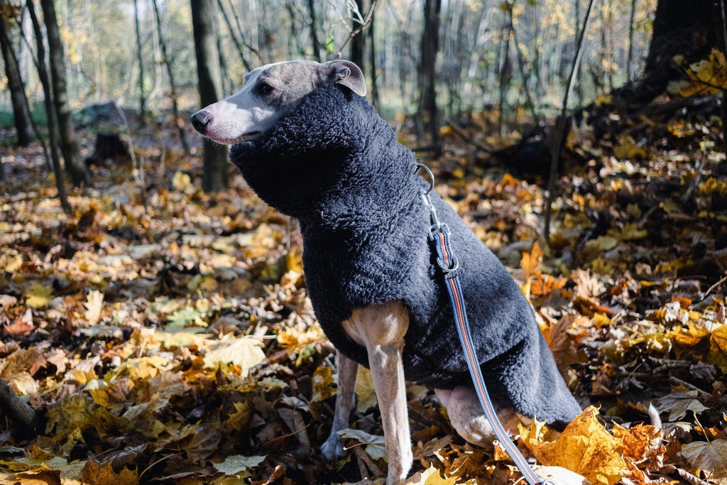 Lana cane Vest - Charcoal