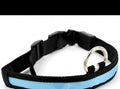 Collar ajustable para perros y gatos - imagen 1
