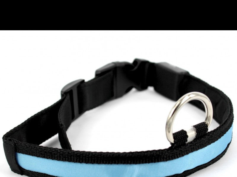 Collar ajustable para perros y gatos - imagen 1