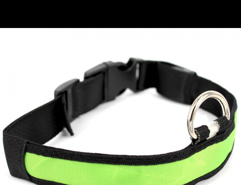Collar LED luminoso para perros - imagen 1