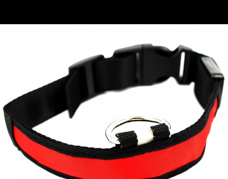 Collar LED luminoso para perros - imagen 9