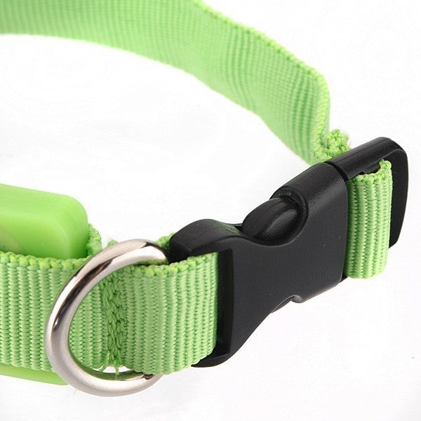 Collar ajustable para perros y gatos - imagen 8