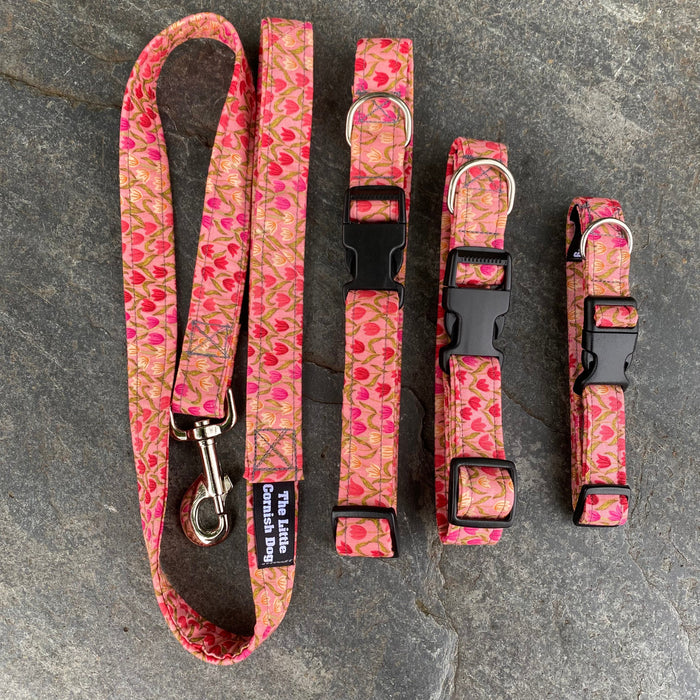 Colección Tulip de collar, correa y arnés para perros