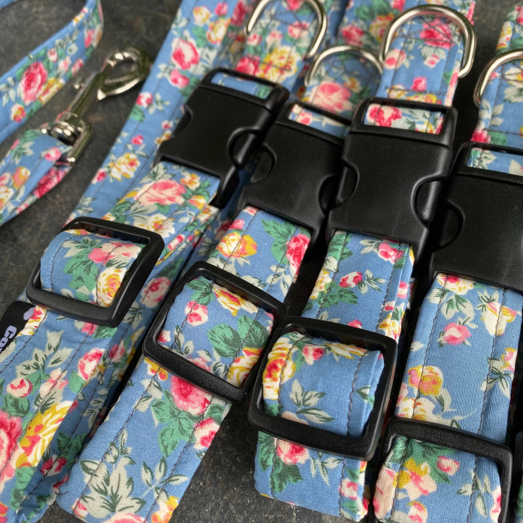 Colección de rosa floral azul