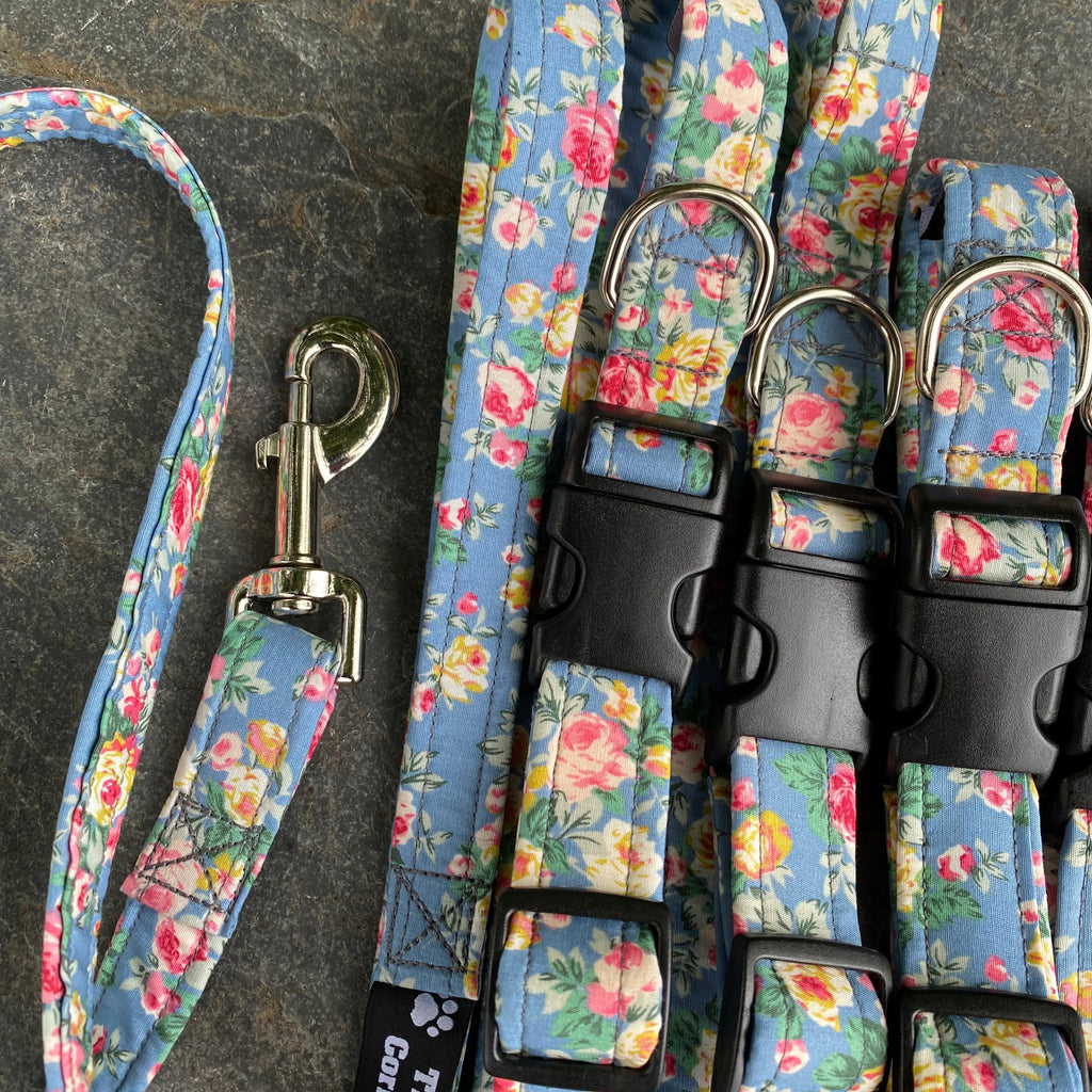 Colección de rosa floral azul