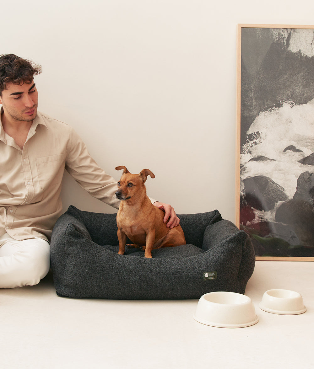 Cama Perro Antracita Negro Premium, Snozy-1