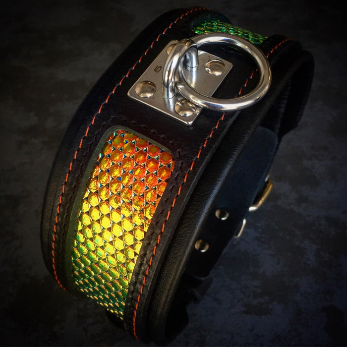 Collar D'Albertis para perros