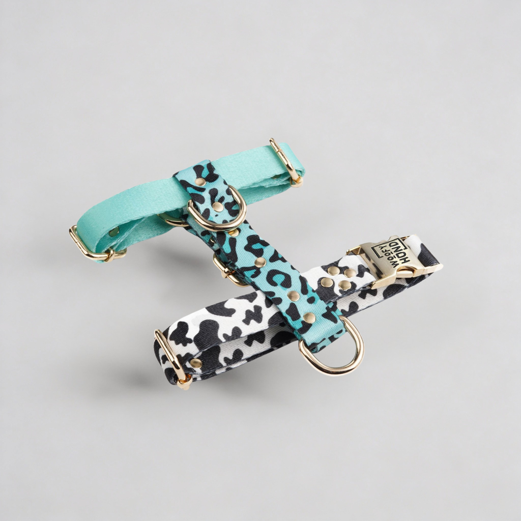 Hundegeschirr Aqua-Camo-0