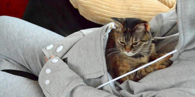 Macskahordozó, cicahordozó pulcsi, macskás pulóver, cicás pulcsi-6