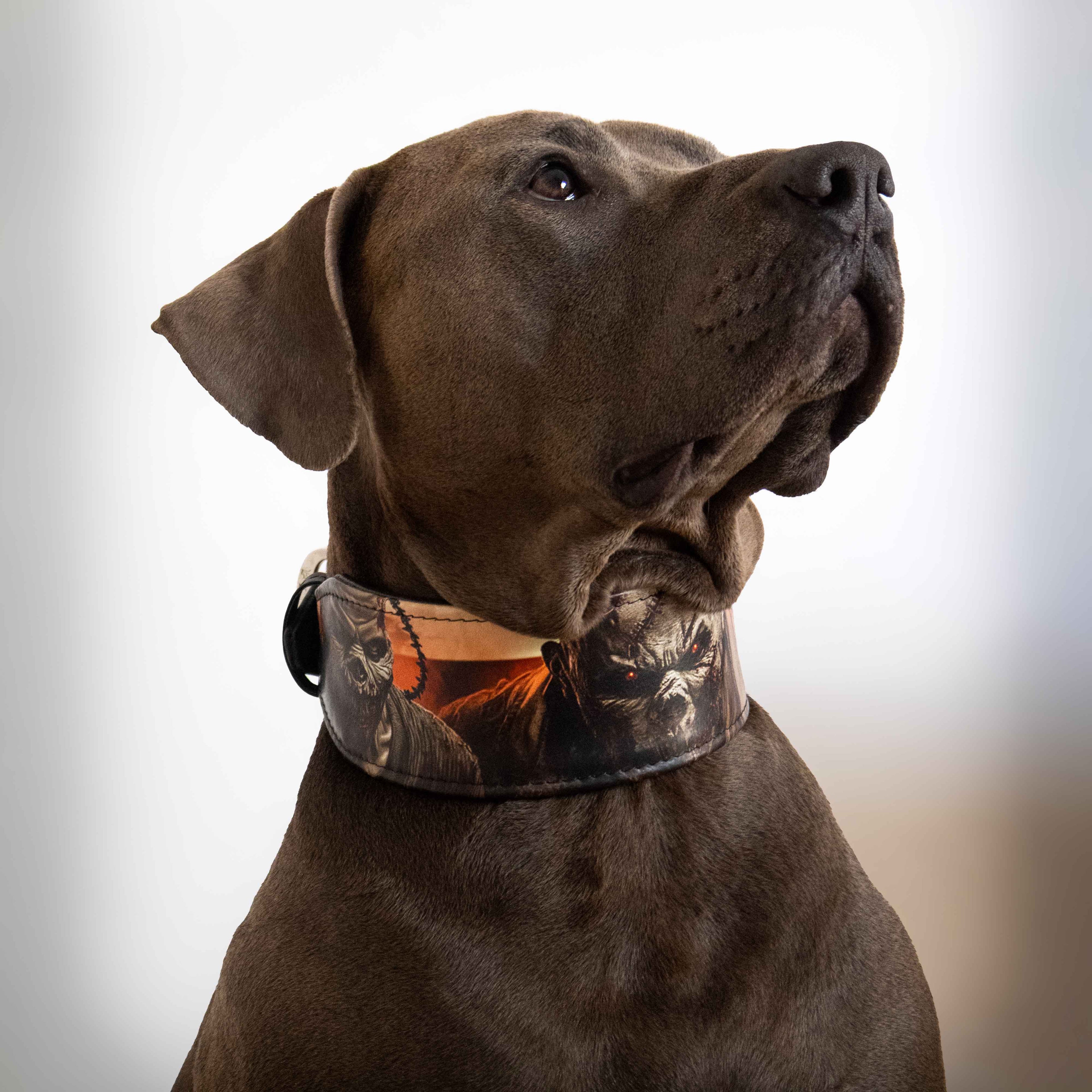 The Scare Collar Limited per cani - immagine 3