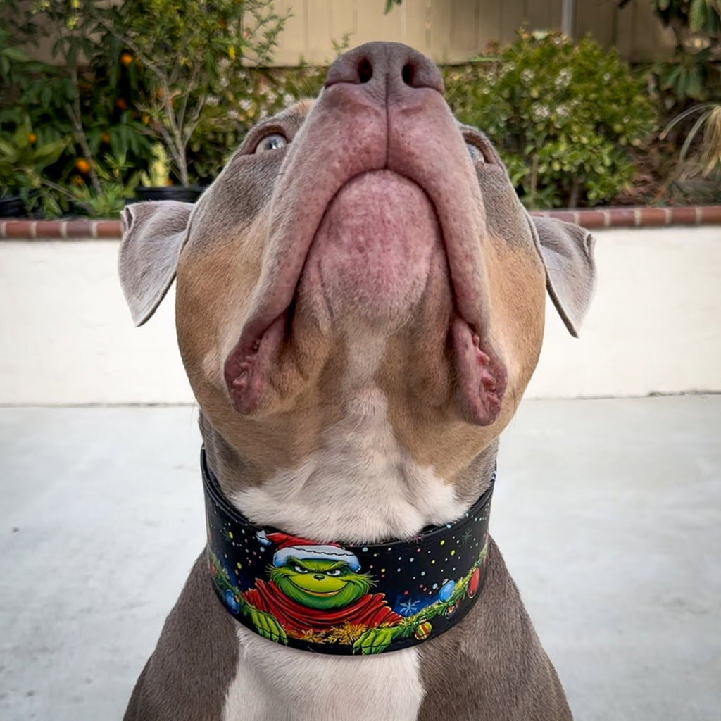 The Grinchmas Limited Collar para perros y gatos - imagen 5