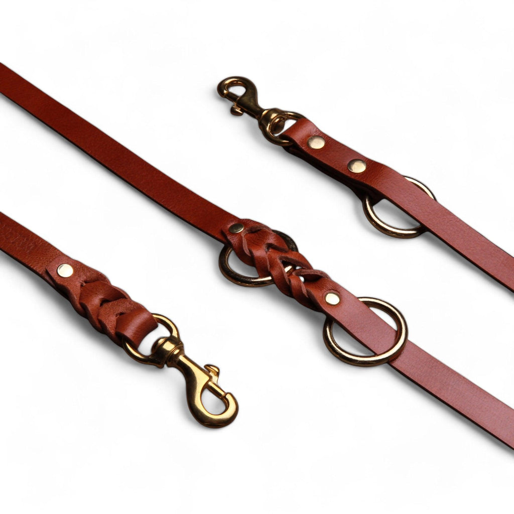 The Bestia multi purpose Police leash para perros
