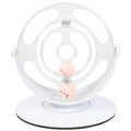 Interactive Cat Spin & Learn Toy-5
