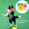 Juguete disco interactivo para perros