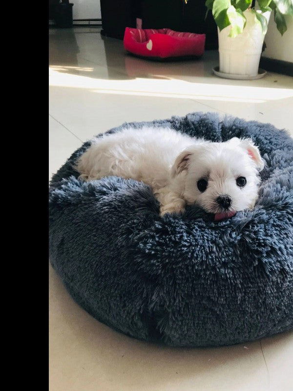 Cama de descanso para perros y gatos - imagen 4