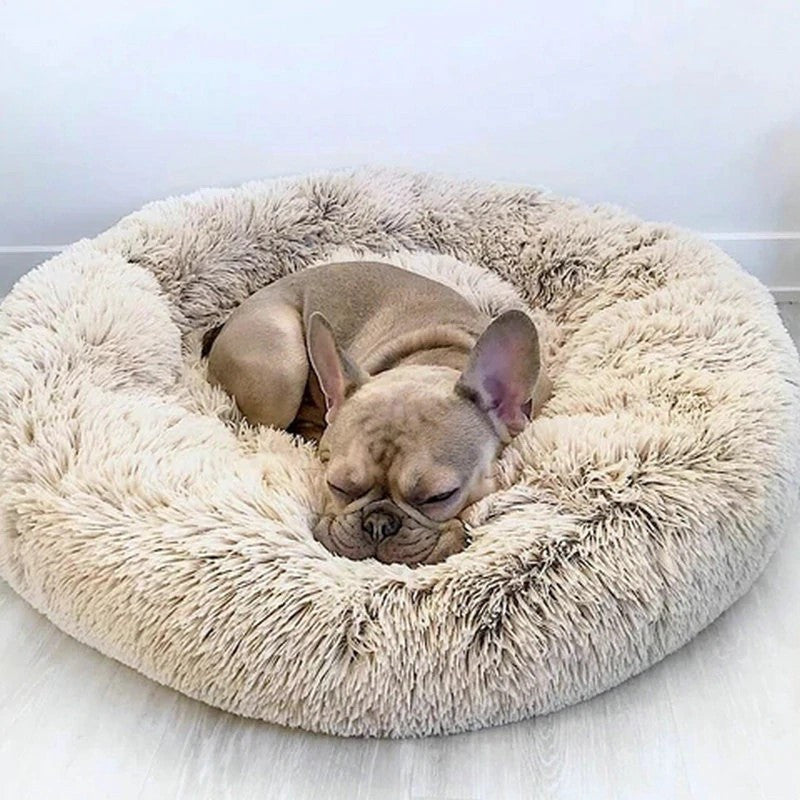 Cama de descanso para perros y gatos - imagen 8